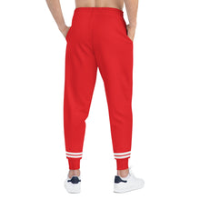 Load image into Gallery viewer, DCYG 2nd EDITION Joggers (AOP)
