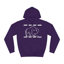 Load image into Gallery viewer, DCYG Buffaloes Unisex College Hoodie
