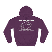 Load image into Gallery viewer, DCYG Buffaloes Unisex College Hoodie