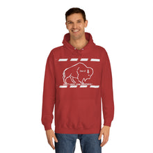 Load image into Gallery viewer, DCYG Buffaloes Unisex College Hoodie