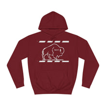 Load image into Gallery viewer, DCYG Buffaloes Unisex College Hoodie