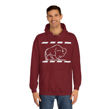 Load image into Gallery viewer, DCYG Buffaloes Unisex College Hoodie