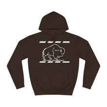 Load image into Gallery viewer, DCYG Buffaloes Unisex College Hoodie