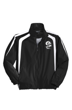 Load image into Gallery viewer, SWAN Dragon White Logo Red Navy Royal and White Stripes Colorblock Raglan Jacket