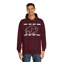 Load image into Gallery viewer, DCYG Buffaloes Unisex College Hoodie