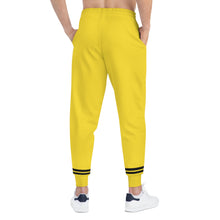 Load image into Gallery viewer, DCYG 2nd EDITION Joggers (AOP)