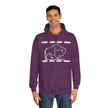 Load image into Gallery viewer, DCYG Buffaloes Unisex College Hoodie