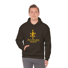 Load image into Gallery viewer, D9 Collection Heavy Blend Hooded Sweatshirt