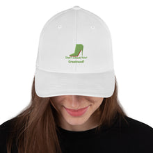 Load image into Gallery viewer, DCYG Green Red Bottoms Structured Twill Cap