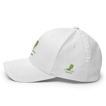 Load image into Gallery viewer, DCYG Green Red Bottoms Structured Twill Cap