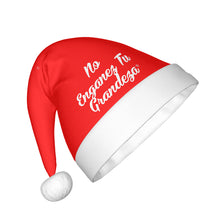 Load image into Gallery viewer, DCYG Espanol Adult Plush Christmas Hat