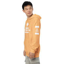 Load image into Gallery viewer, DCYG NERDS Unisex midweight hoodie