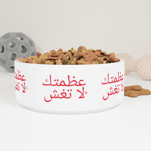 Load image into Gallery viewer, Arabic Pet Bowl