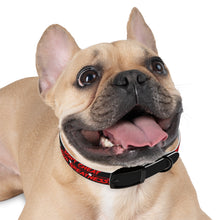 Load image into Gallery viewer, Dog Collar