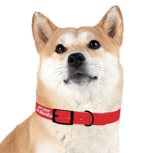 Load image into Gallery viewer, Dog Collar