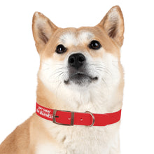 Load image into Gallery viewer, Dog Collar