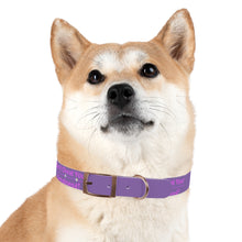 Load image into Gallery viewer, Dog Collar