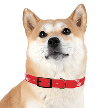 Load image into Gallery viewer, Dog Collar