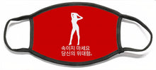 Load image into Gallery viewer, Korean - Face Mask