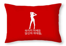 Load image into Gallery viewer, Korean - Throw Pillow
