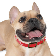 Load image into Gallery viewer, Dog Collar