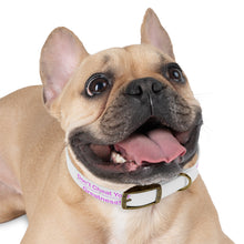 Load image into Gallery viewer, Dog Collar