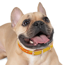 Load image into Gallery viewer, Dog Collar