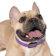 Load image into Gallery viewer, Dog Collar