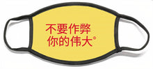 Load image into Gallery viewer, Chinese - Face Mask
