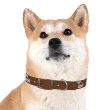Load image into Gallery viewer, Copy of Dog Collar