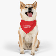 Load image into Gallery viewer, Pet Bandana Collar