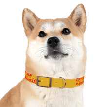 Load image into Gallery viewer, Dog Collar