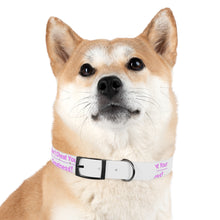 Load image into Gallery viewer, Dog Collar