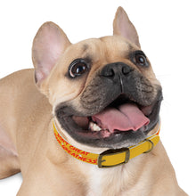 Load image into Gallery viewer, Dog Collar