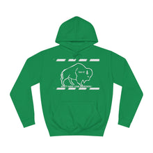 Load image into Gallery viewer, DCYG Buffaloes Unisex College Hoodie
