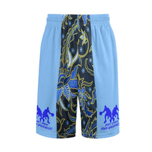 Load image into Gallery viewer, DCYG Mens Light &amp; Dark Blue  Mesh Basketball Shorts &amp; Running Short Pants
