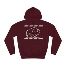 Load image into Gallery viewer, DCYG Buffaloes Unisex College Hoodie
