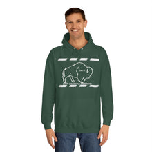 Load image into Gallery viewer, DCYG Buffaloes Unisex College Hoodie
