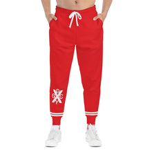 Load image into Gallery viewer, DCYG 2nd EDITION Joggers (AOP)
