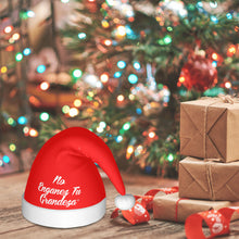 Load image into Gallery viewer, DCYG Espanol Adult Plush Christmas Hat
