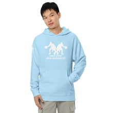 Load image into Gallery viewer, DCYG Xclusive Men's Dbl Basketball Players Unisex midweight hoodie
