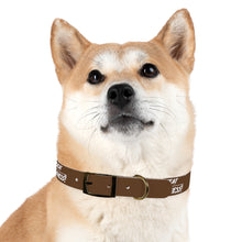 Load image into Gallery viewer, Copy of Dog Collar
