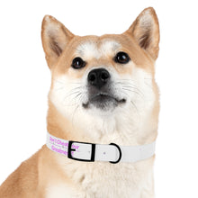 Load image into Gallery viewer, Dog Collar

