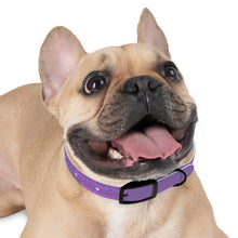 Load image into Gallery viewer, Dog Collar

