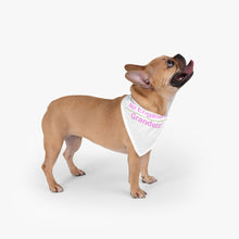 Load image into Gallery viewer, Espanol Pet Bandana

