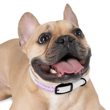 Load image into Gallery viewer, Dog Collar
