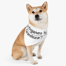 Load image into Gallery viewer, Espanol Pet Bandana Collar

