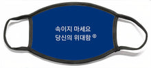 Load image into Gallery viewer, Korean DCYG - Face Mask
