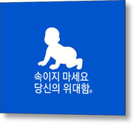 Korean - Metal Print