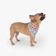 Load image into Gallery viewer, Military Pet Bandana
